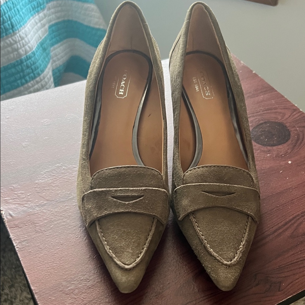Coach Olive Suede Pointed Loafers